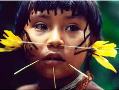 Somos Yanomami